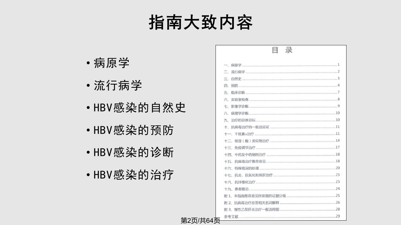 中国慢乙肝防治指南解读解析