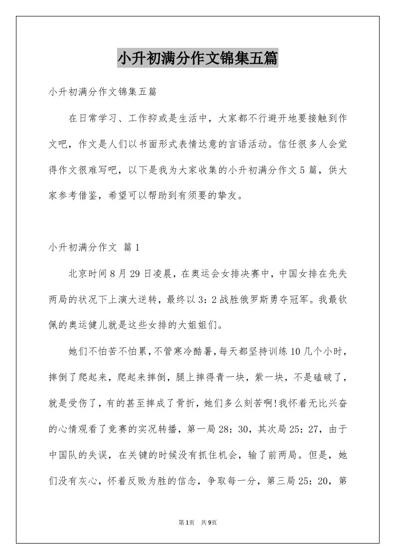 小升初满分作文锦集五篇优质