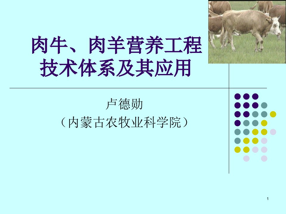 肉牛肉羊营养工程技术体系及其应用课件