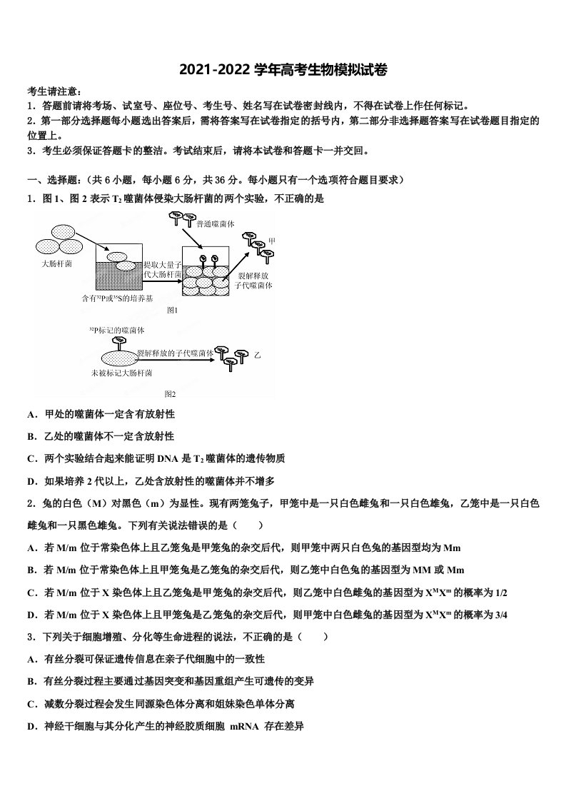 吉林省吉化第一高级中学2022年高三下学期第六次检测生物试卷含解析