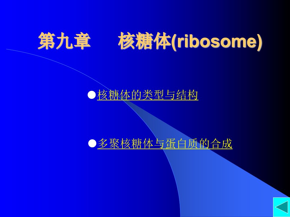 《核糖体ribosom》PPT课件