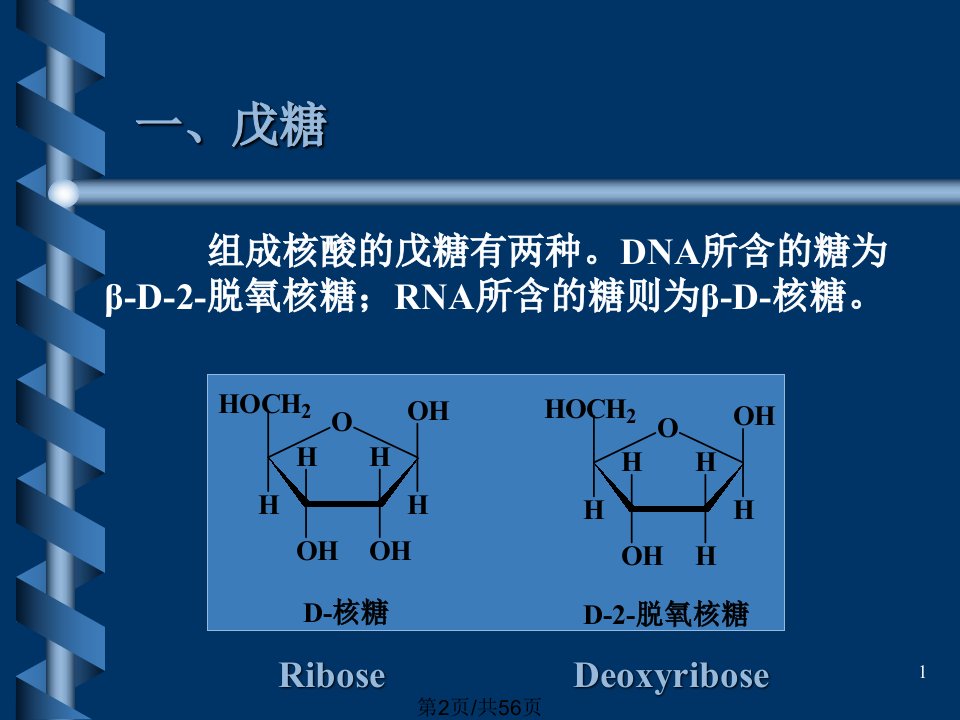 核酸化学1学习