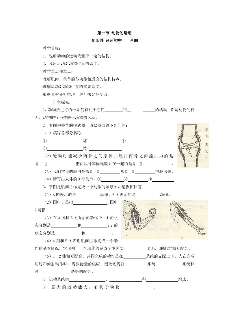 动物的运动导学案肖鹏