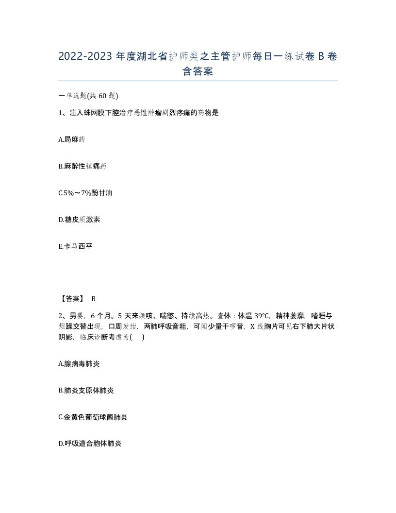 2022-2023年度湖北省护师类之主管护师每日一练试卷B卷含答案