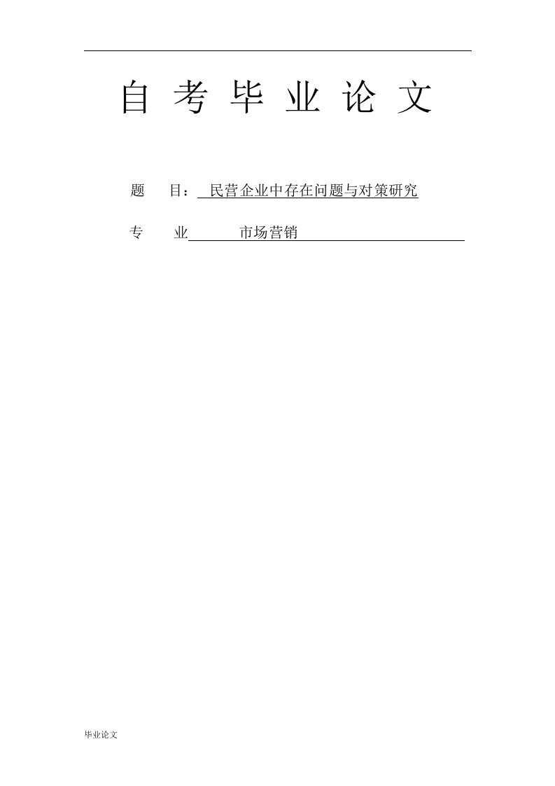 民营企业中存在问题与对策研究（毕业设计论文doc）