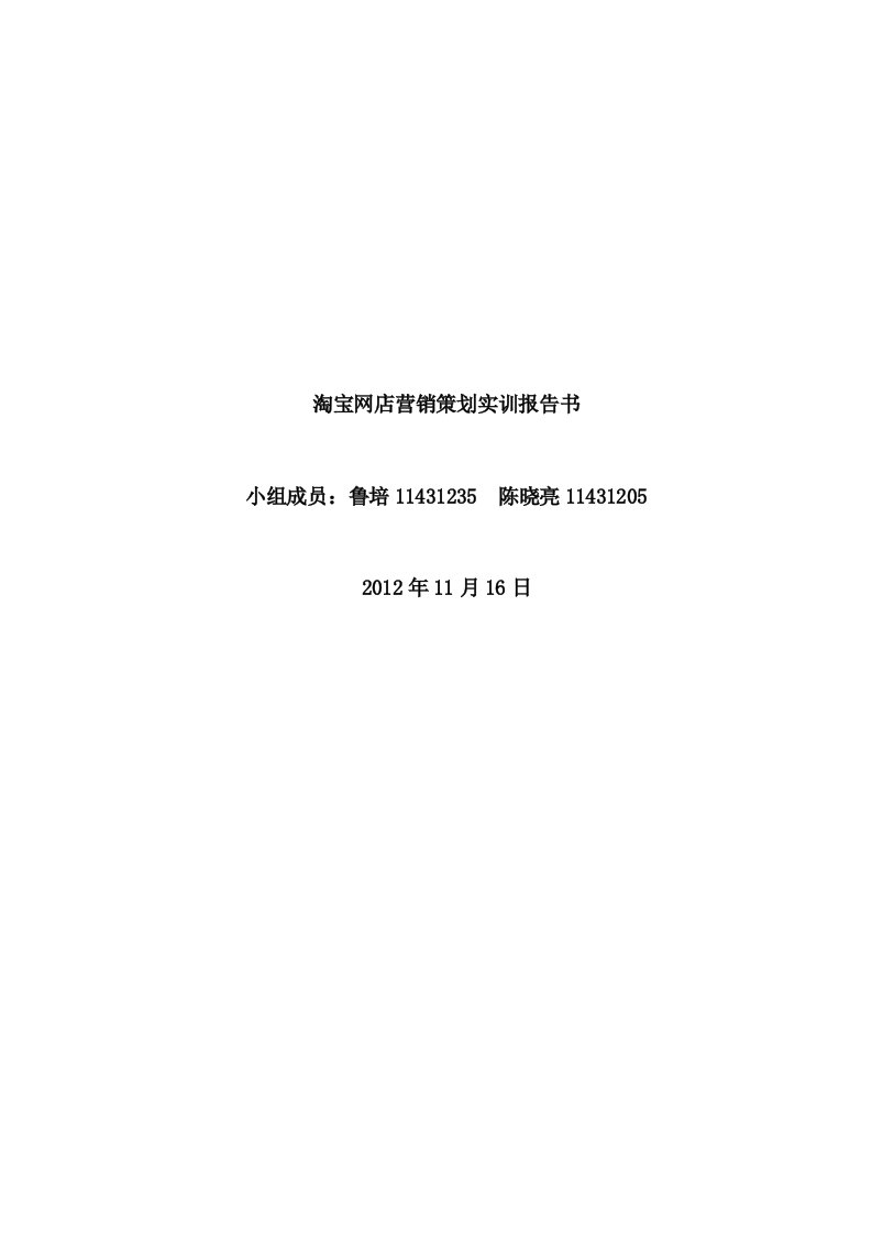 淘宝网店营销策划实训报告书