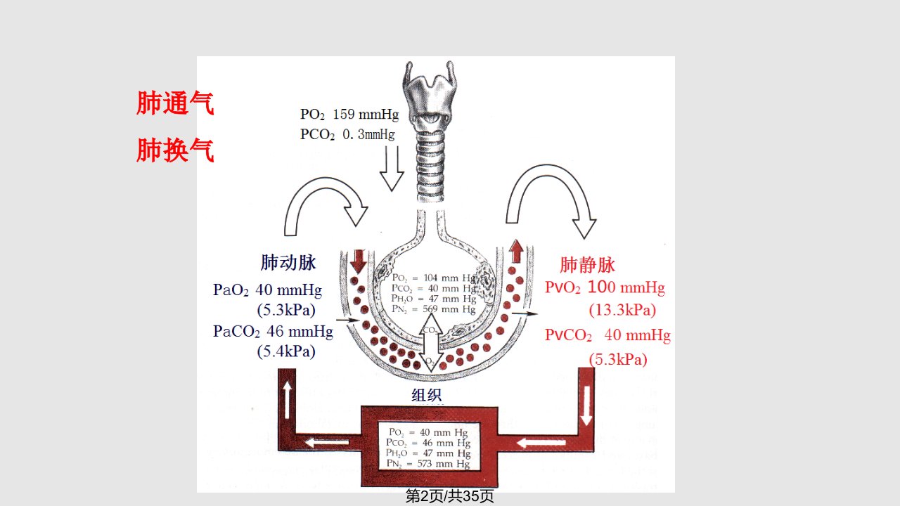 协和教材病理生理学呼吸衰竭