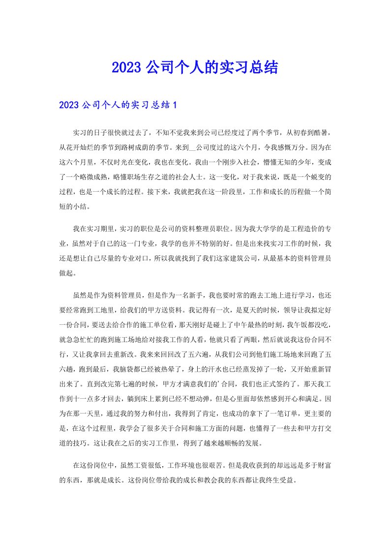 2023公司个人的实习总结