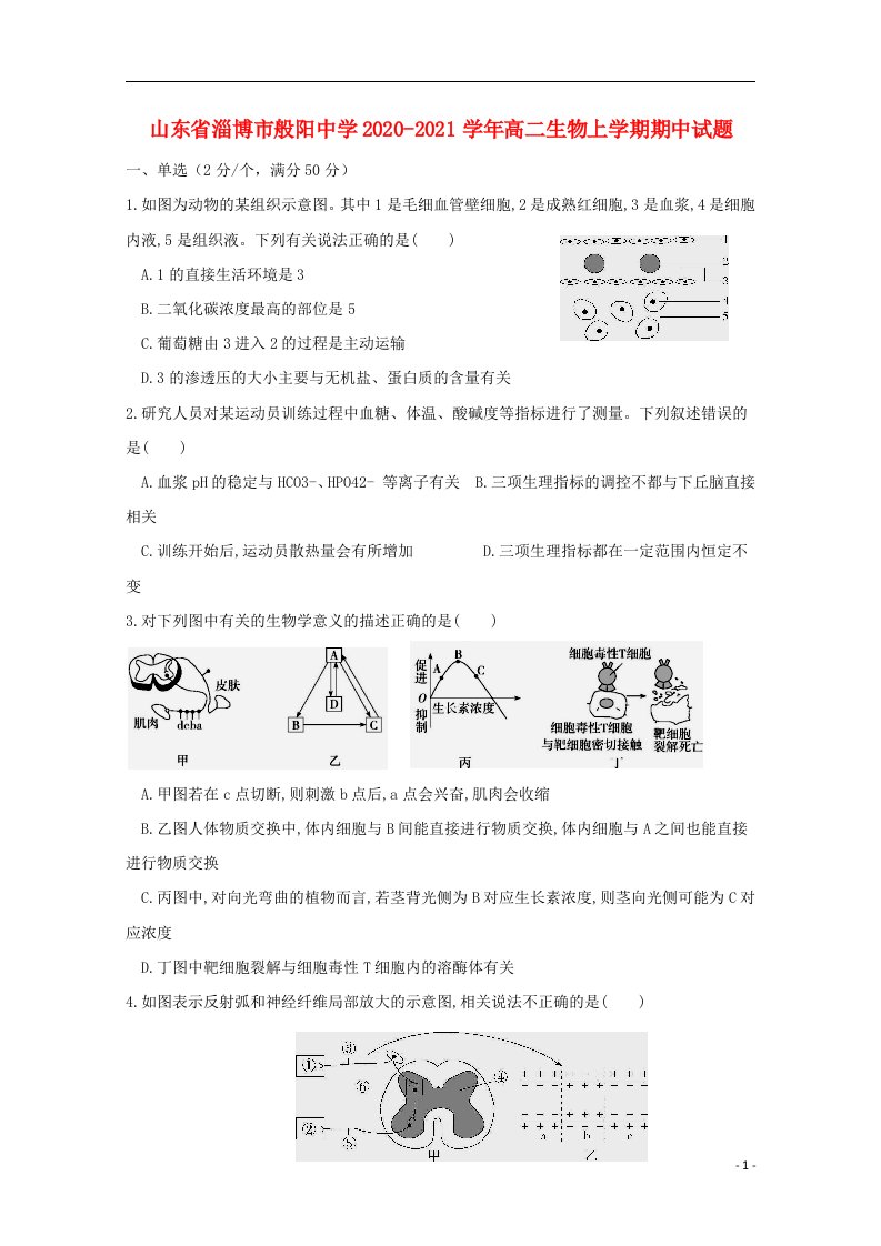 山东省淄博市般阳中学2020_2021学年高二生物上学期期中试题