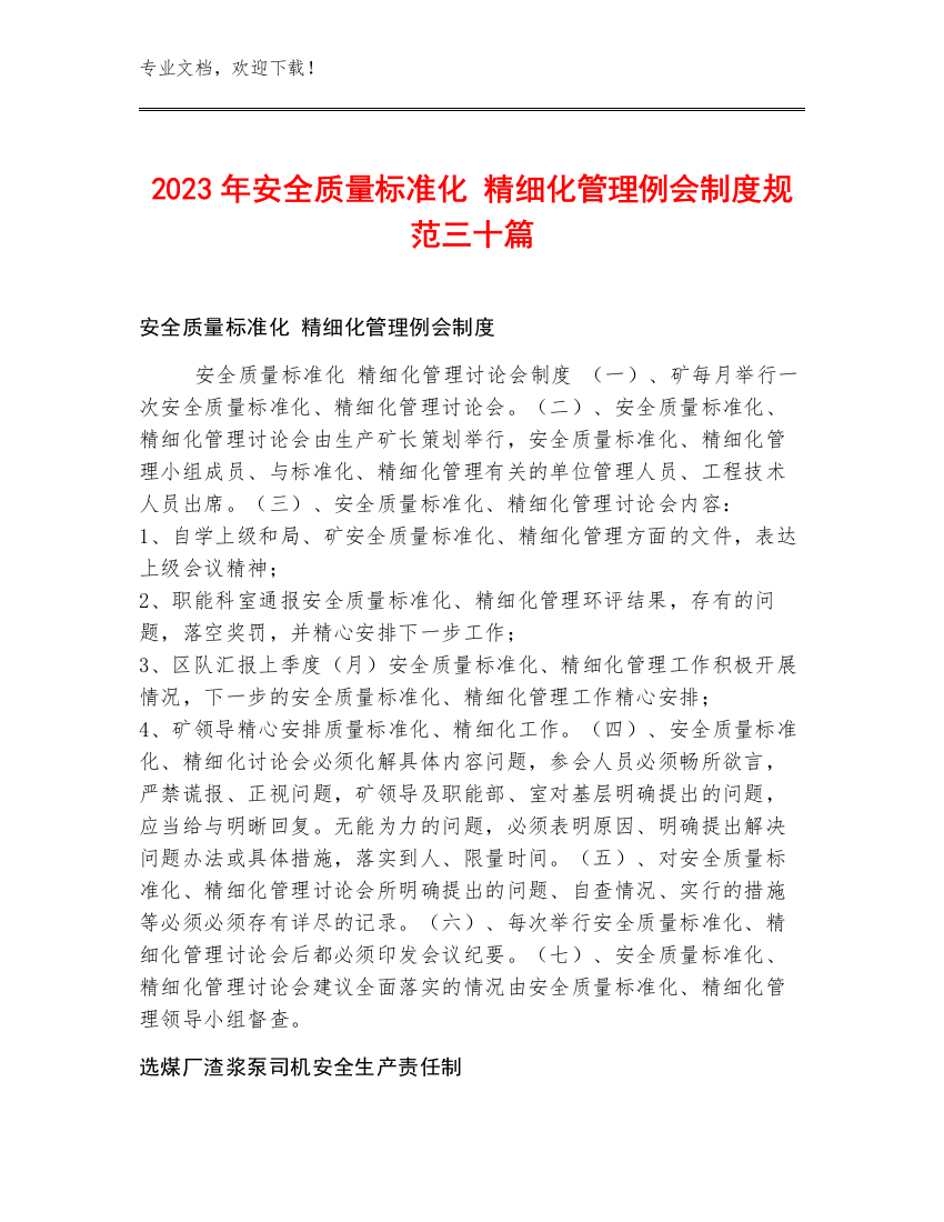 2023年安全质量标准化