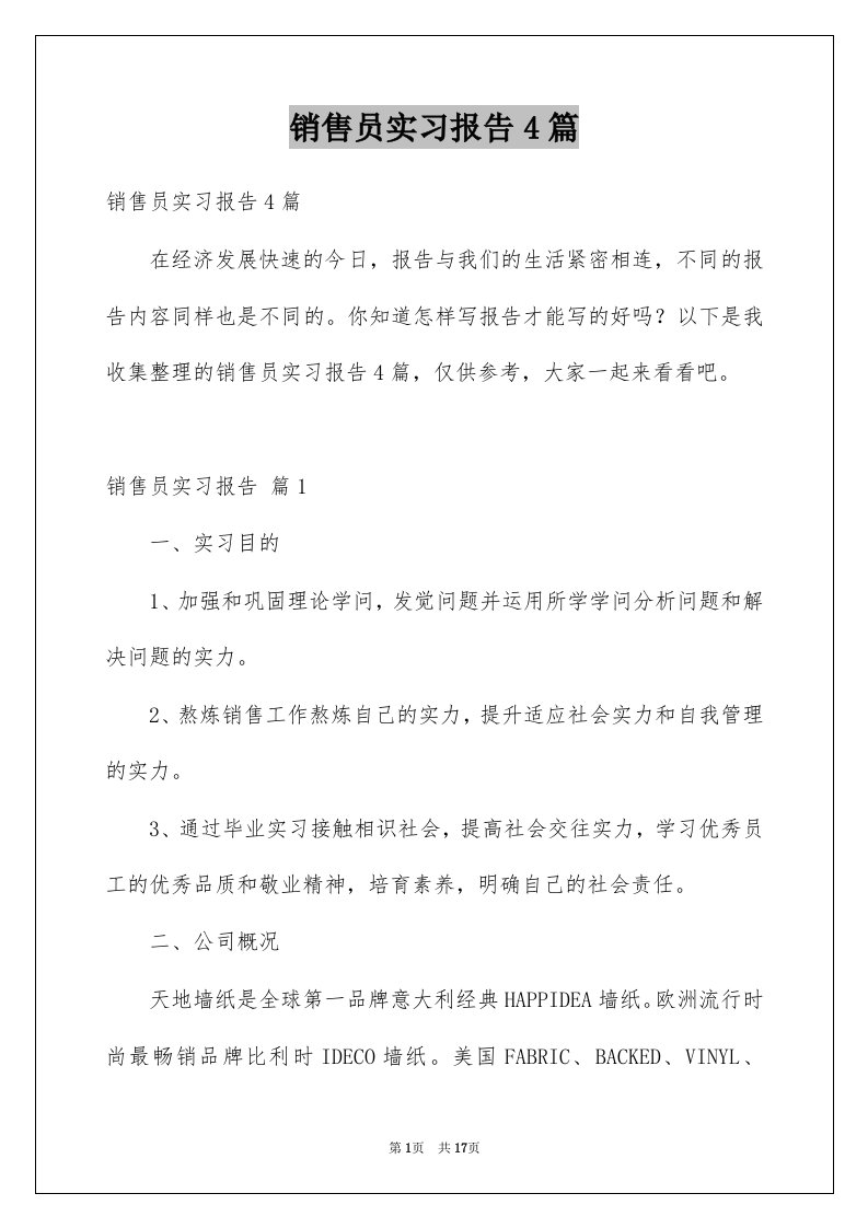 销售员实习报告4篇例文