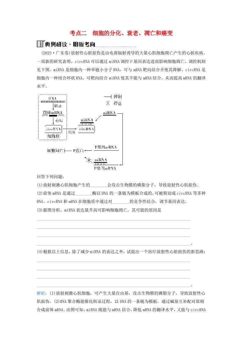 2024届高考生物二轮专题复习与测试专题三细胞的生命历程第5讲细胞的生命历程含减数分裂和受精作用考点二细胞的分化衰老凋亡和癌变