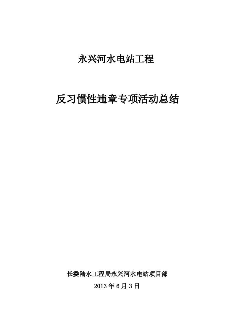 水电站反习惯性违章专项活动总结