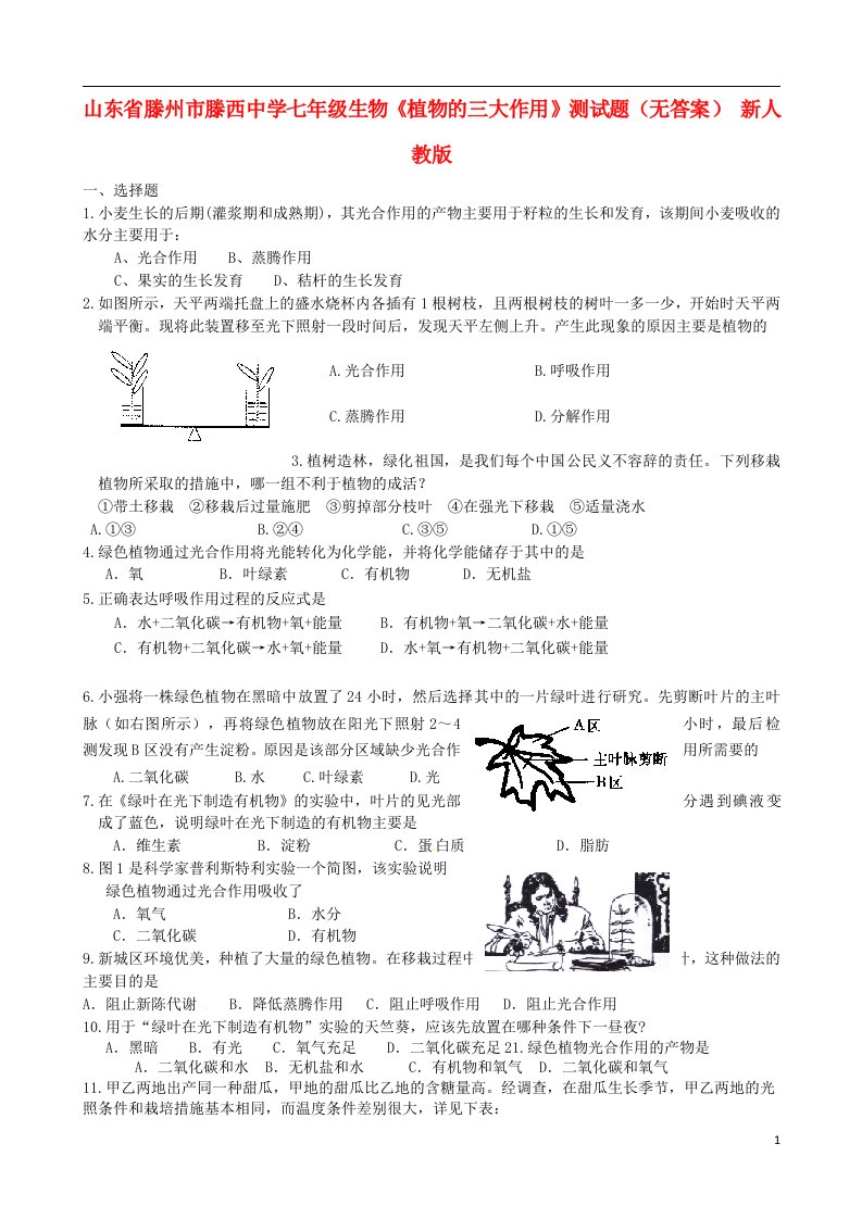 山东省滕州市滕西中学七级生物《植物的三大作用》测试题（无答案）