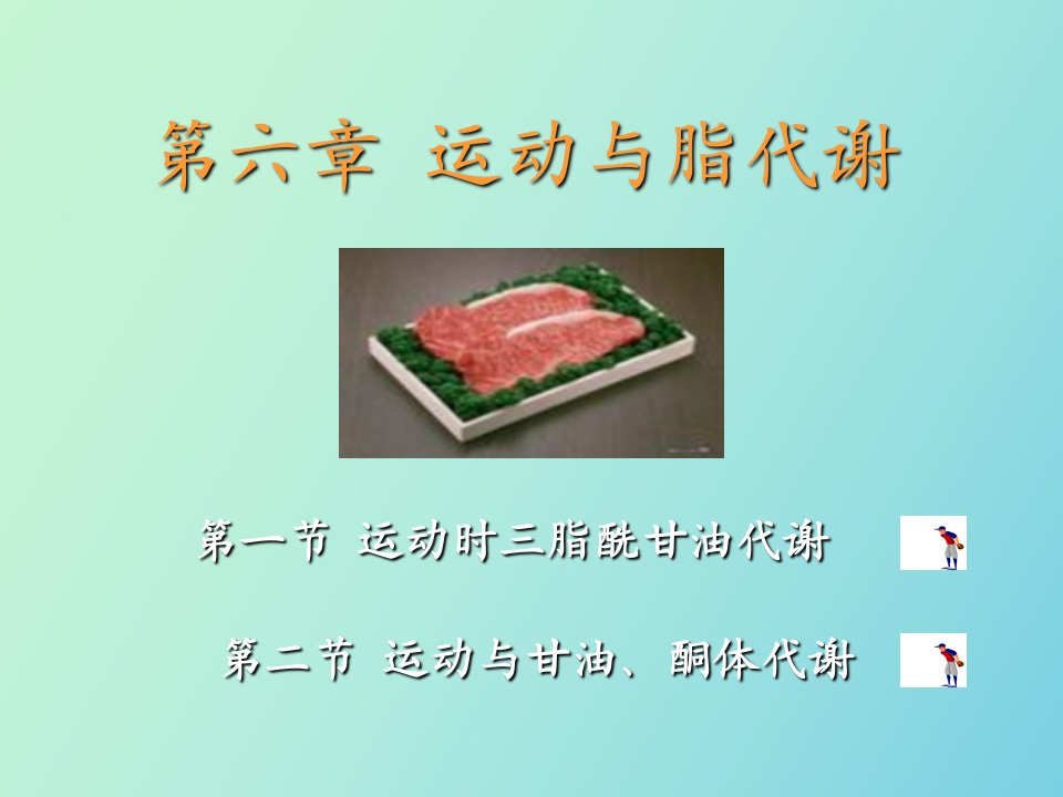 运动生物化学