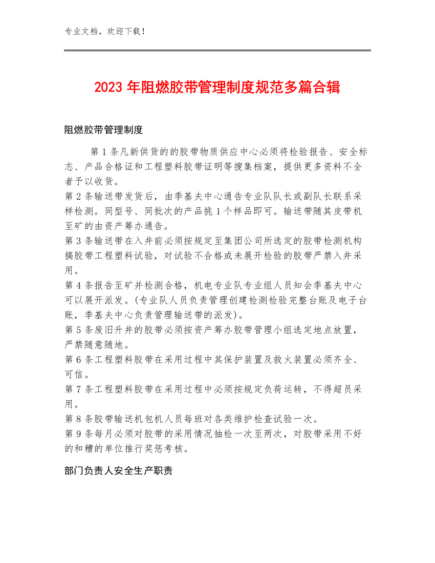 2023年阻燃胶带管理制度规范多篇合辑