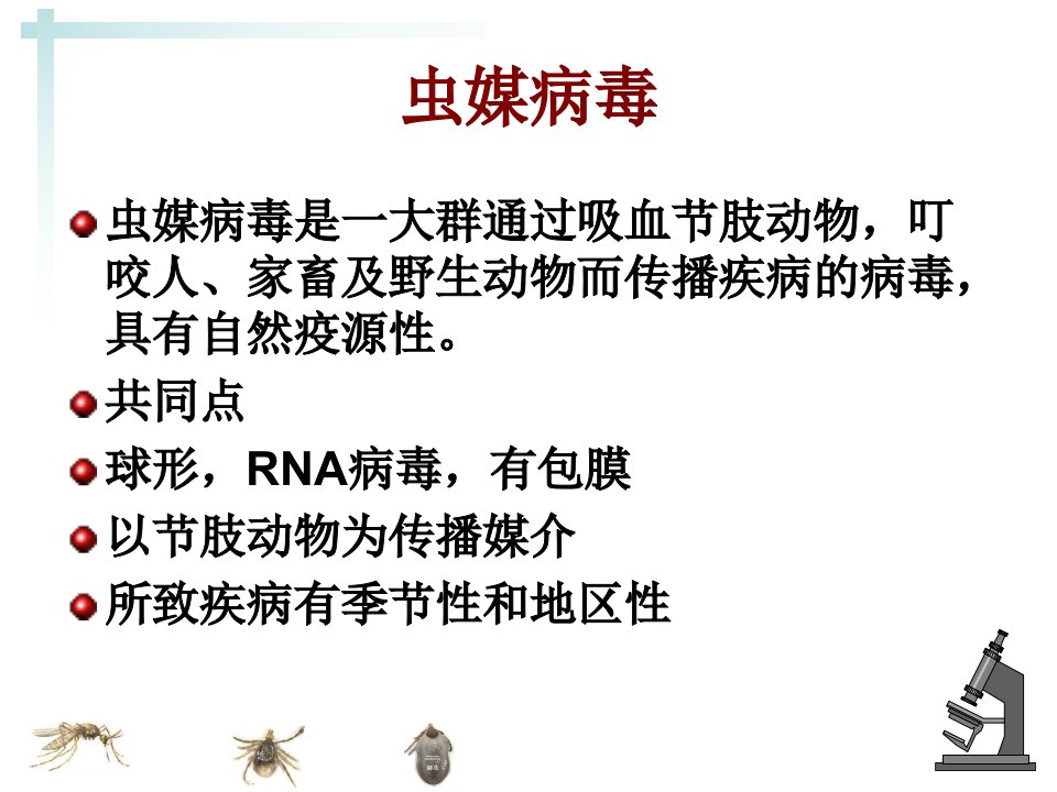 微生物学检验其他病毒及检验