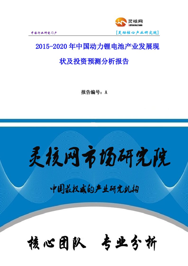 中国动力锂电池行业市场分析与发展趋势研究报告灵核网