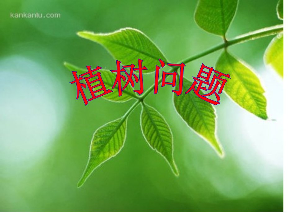 数学广角》植树问题(两端不栽)市公开课获奖课件省名师示范课获奖课件