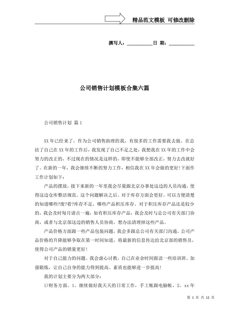 公司销售计划模板合集六篇二