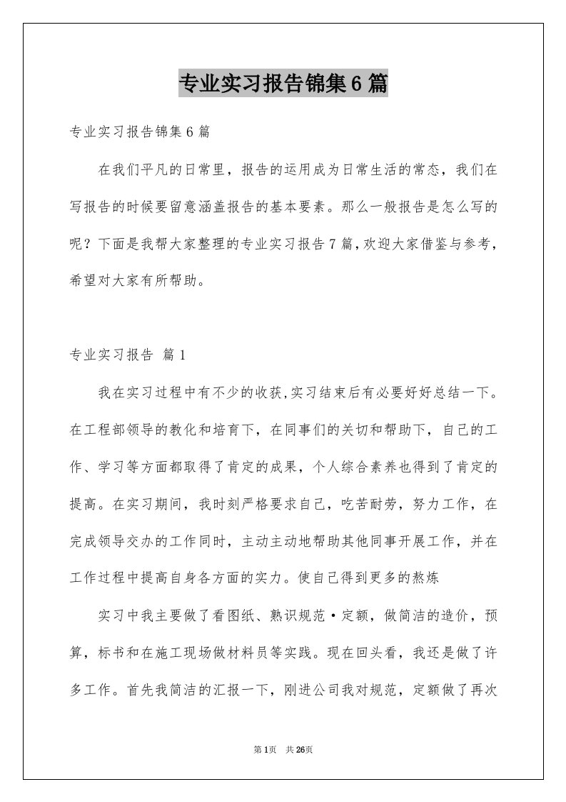 专业实习报告锦集6篇例文