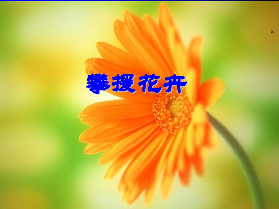 《攀援花卉》PPT课件