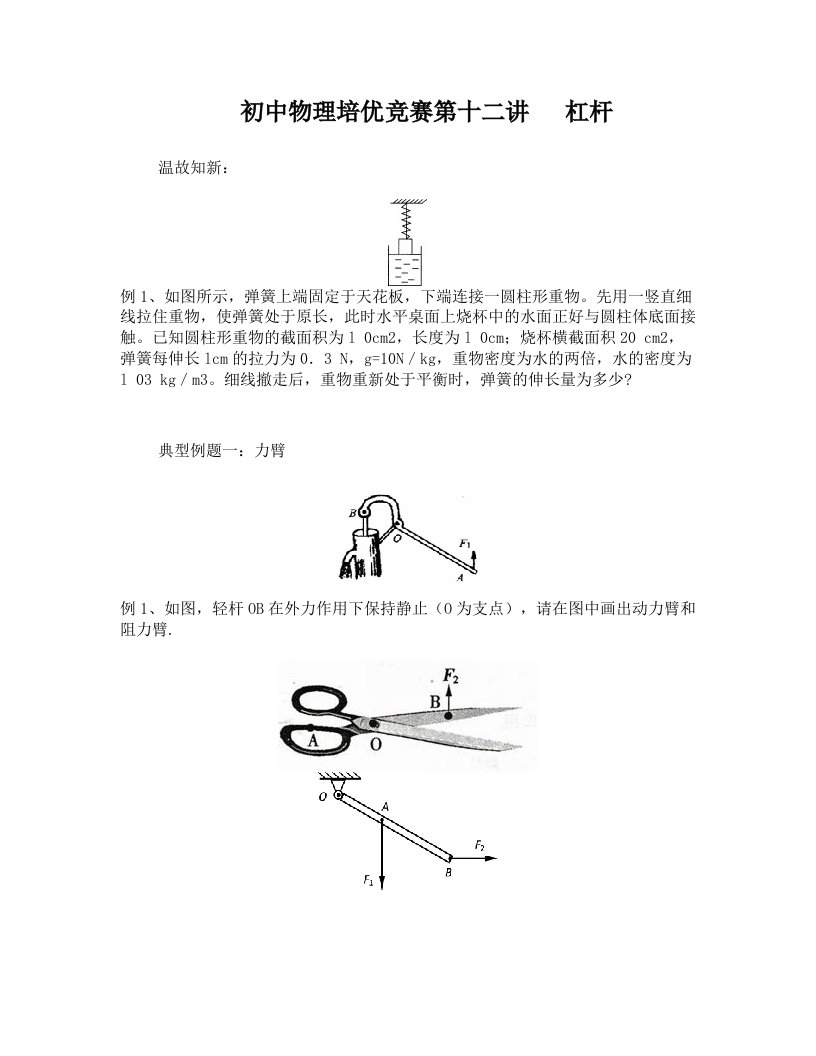 初中物理培优竞赛第十二讲++杠杆