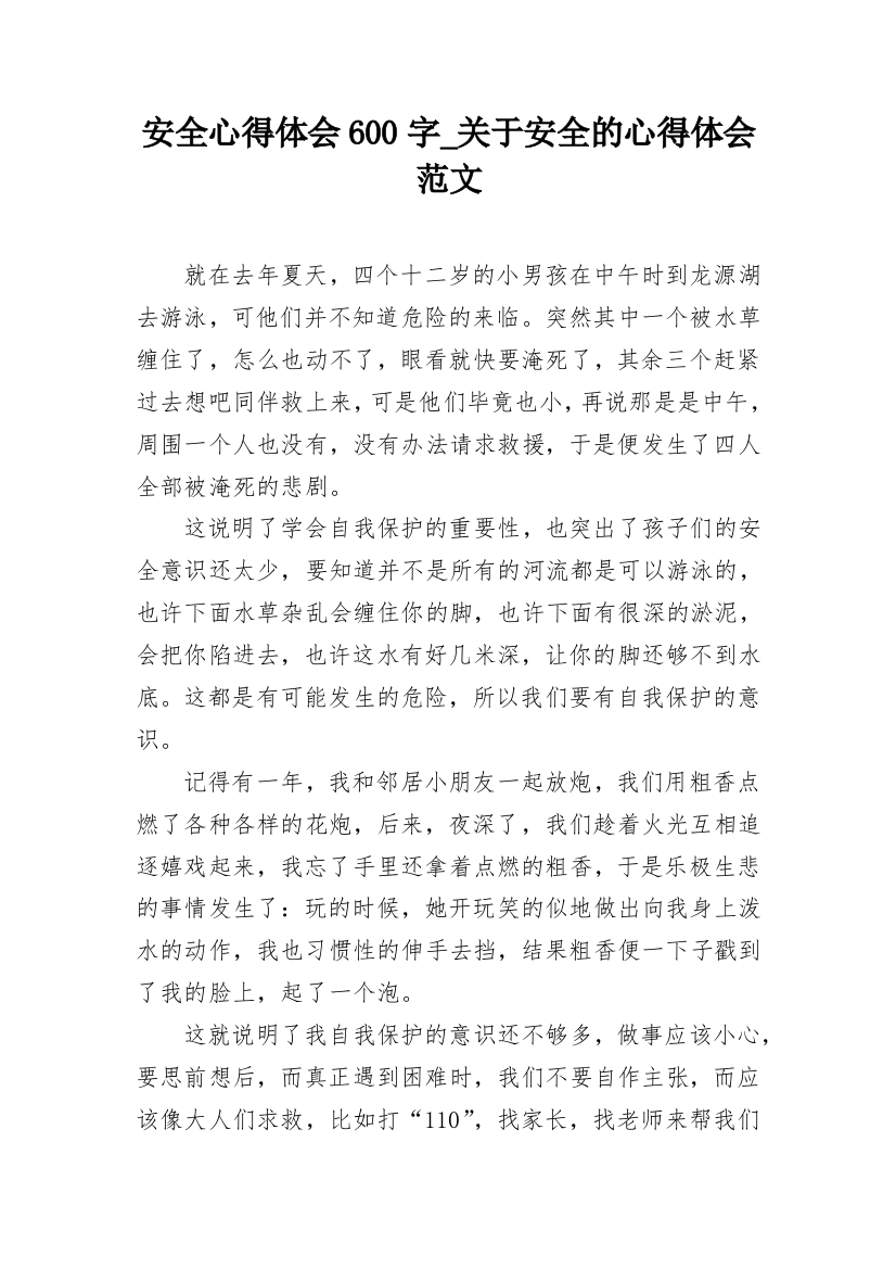 安全心得体会600字_关于安全的心得体会范文_1