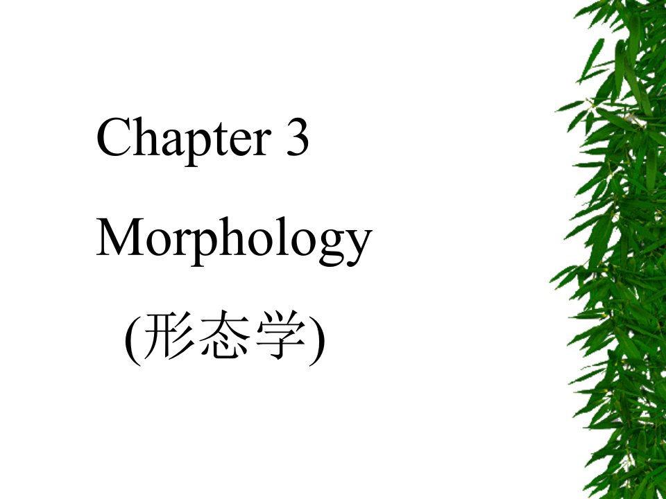 语言学morphology