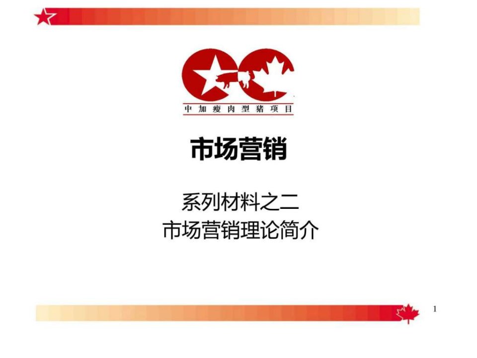 市场营销理论简介.ppt