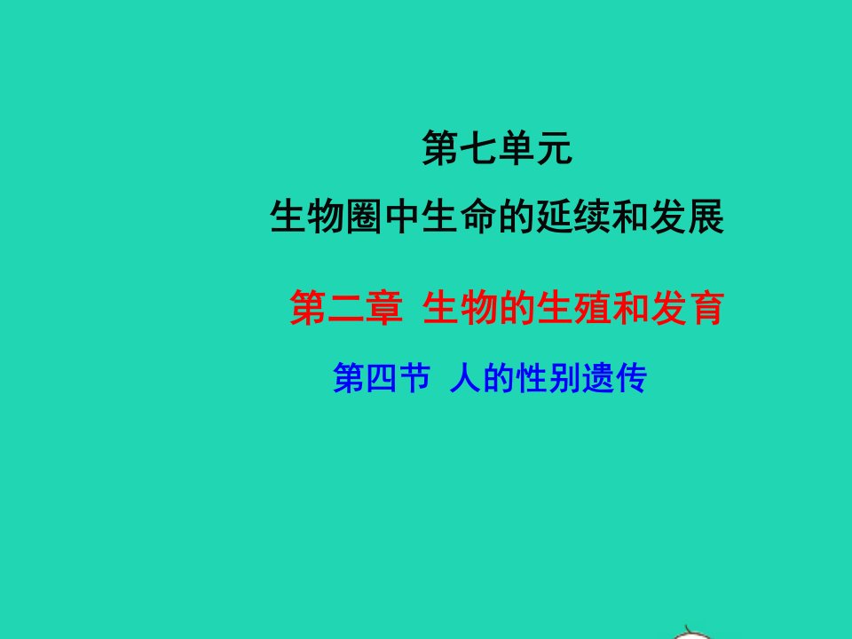 八年级生物下册第七单元生物圈中生命的延续和发展第二章生物的遗传与变异第4节人的性别遗传教学课件新版新人教版