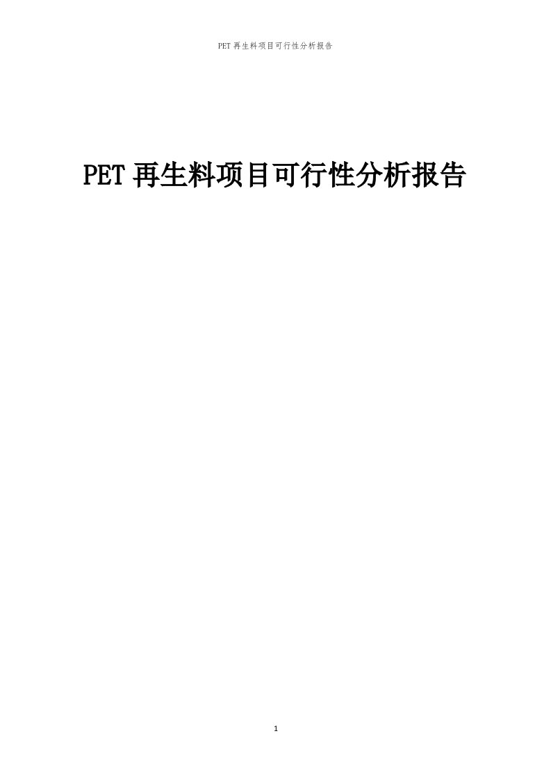 PET再生料项目可行性分析报告