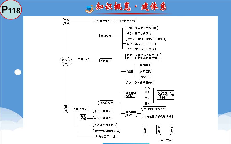 并购重组-基因突变与基因重组