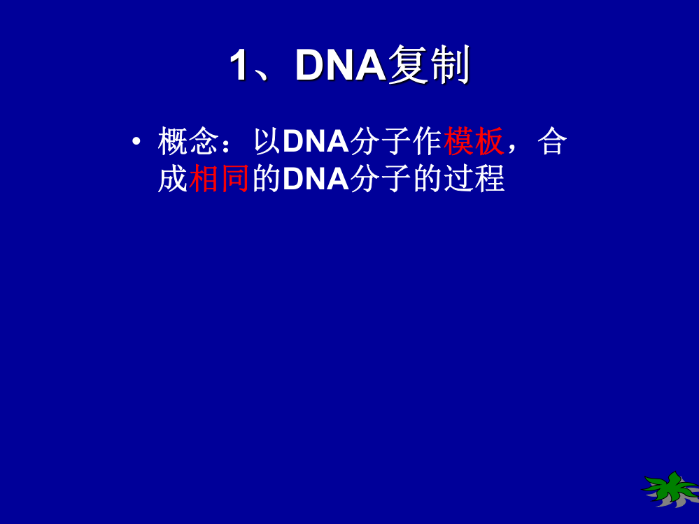 DNA的复制和蛋白质的合成PPT课件