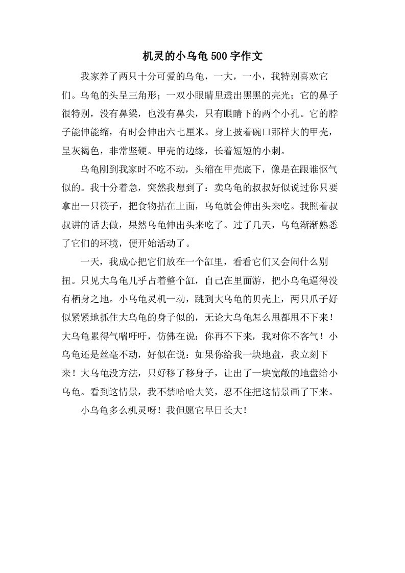 机灵的小乌龟500字作文