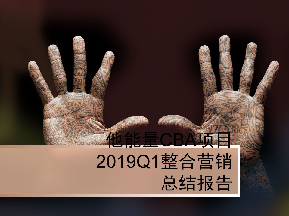 他能量CBA项目2019Q1整合营销总结报告