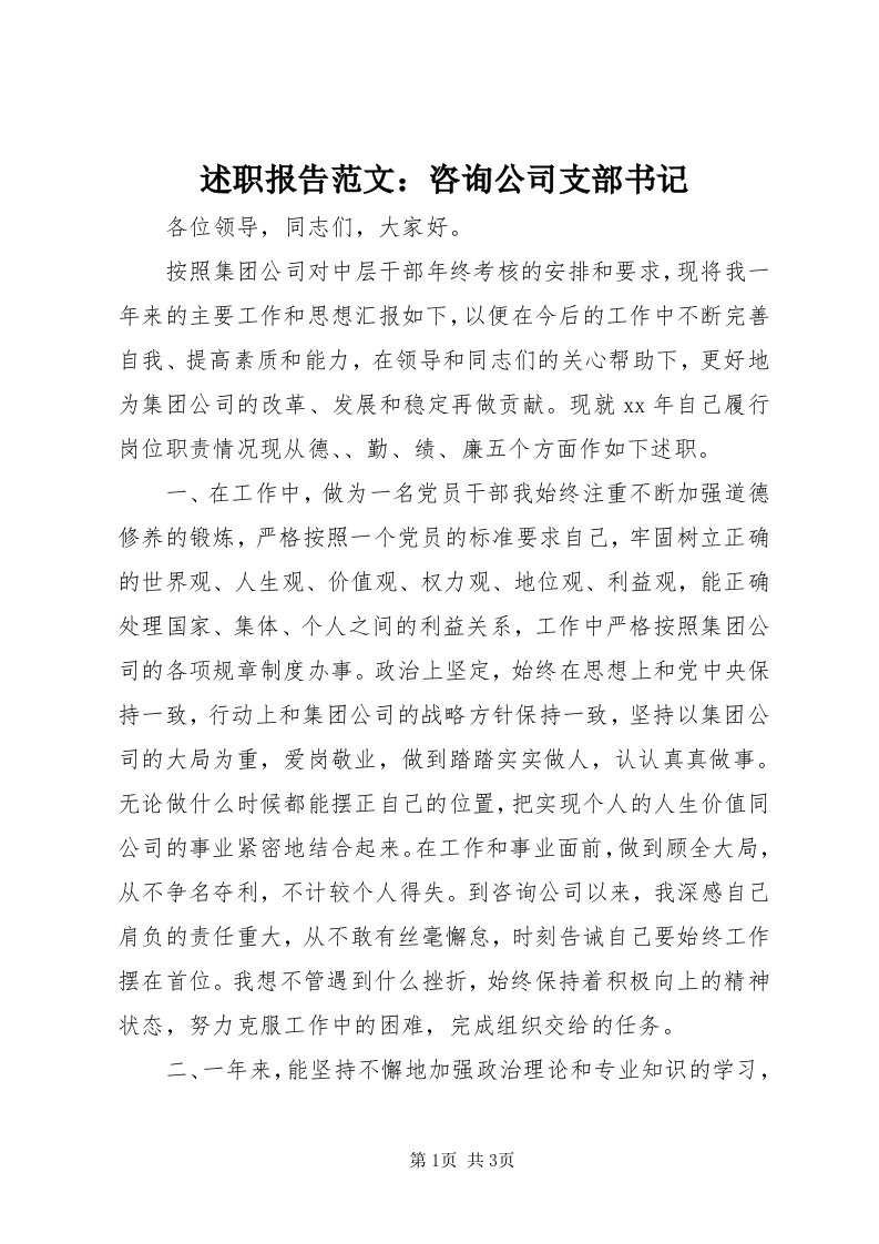 6述职报告范文：咨询公司支部书记