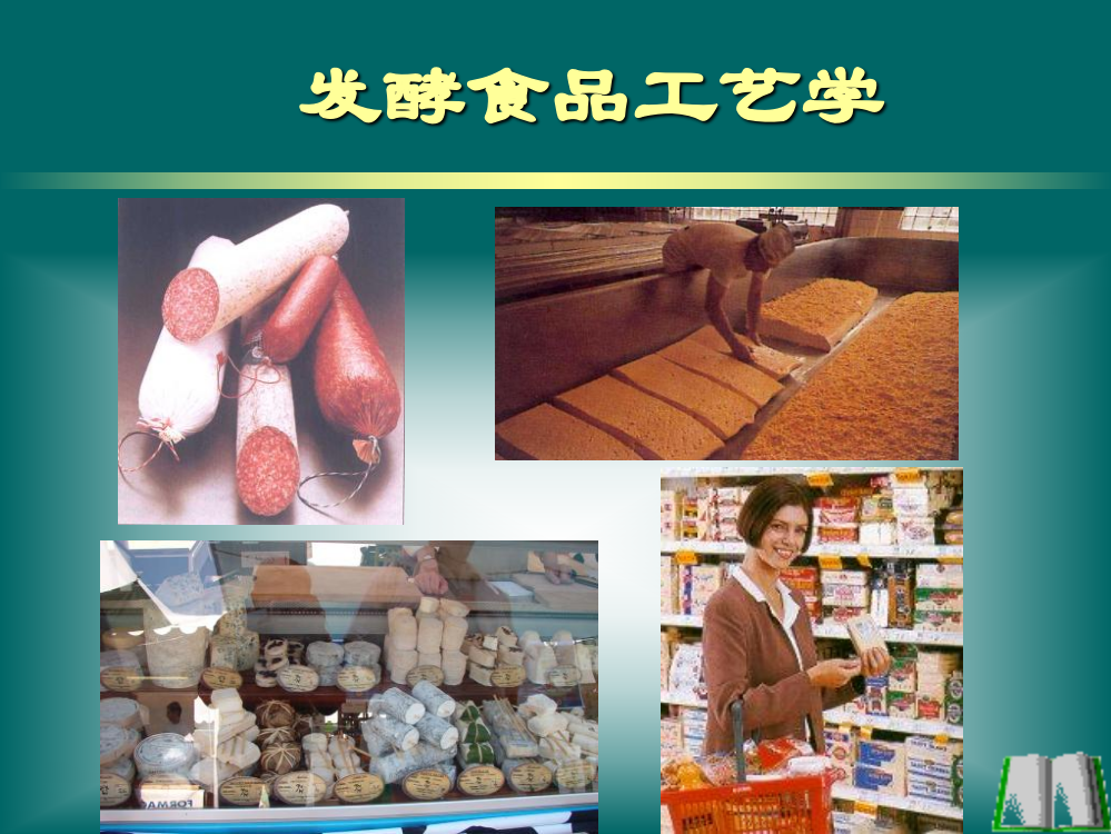 第一章发酵食品工艺学绪论ppt课件