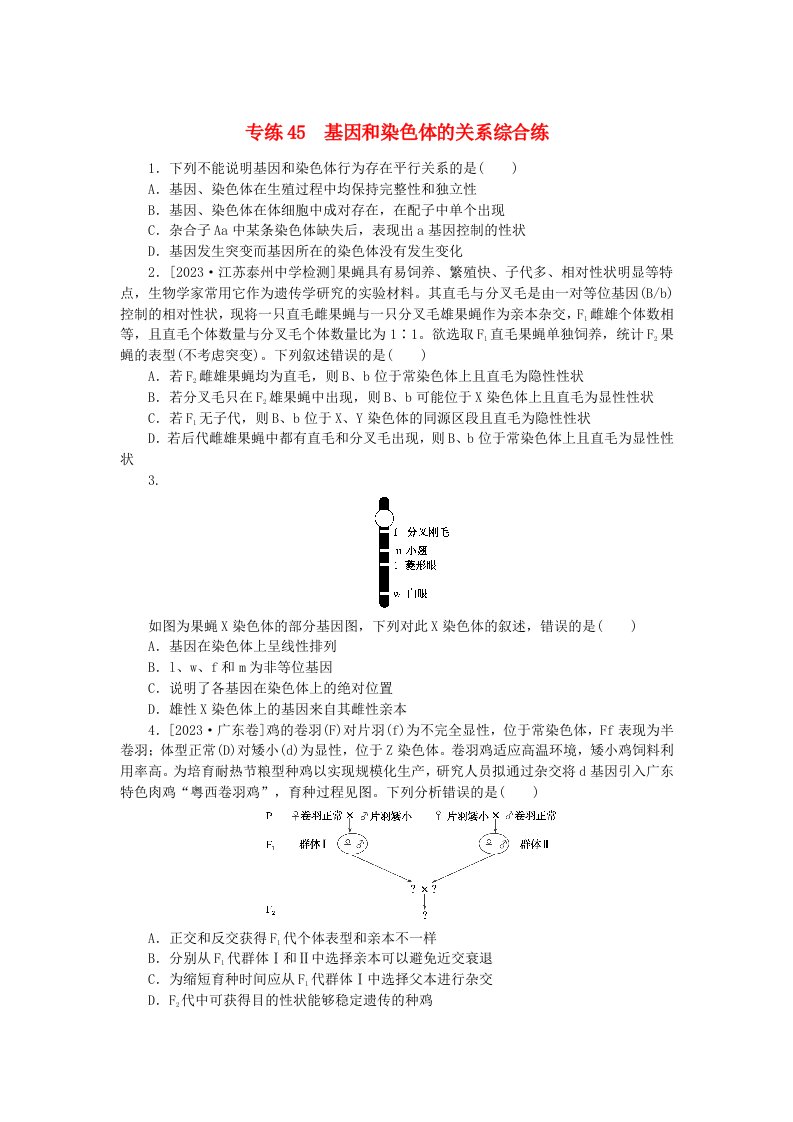 新高考2024版高考生物一轮复习微专题小练习专练45基因和染色体的关系综合练