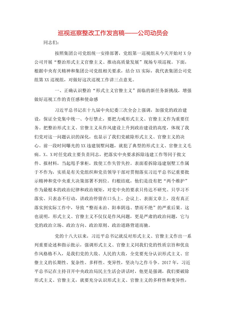 巡视巡察整改工作发言稿——公司动员会