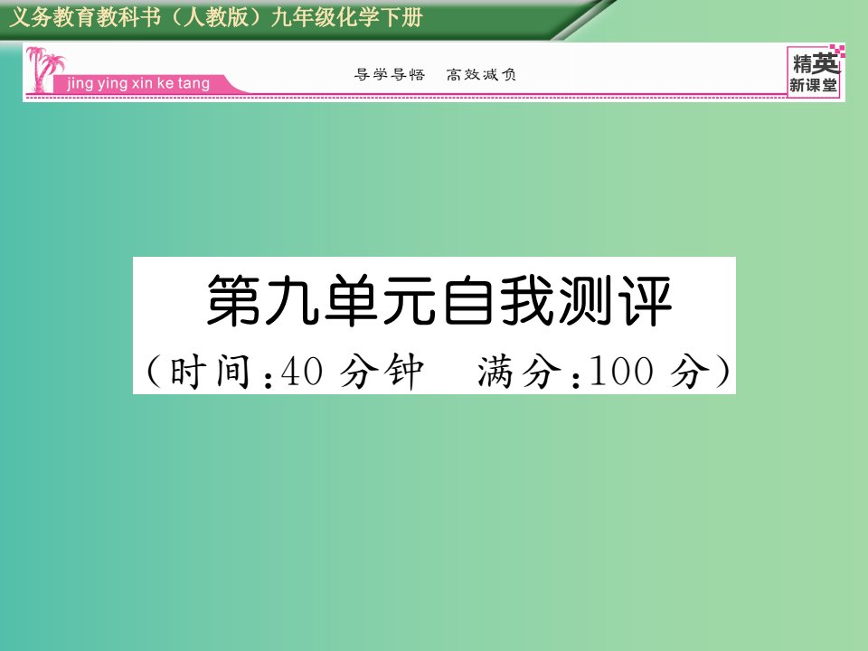 九年级化学下册