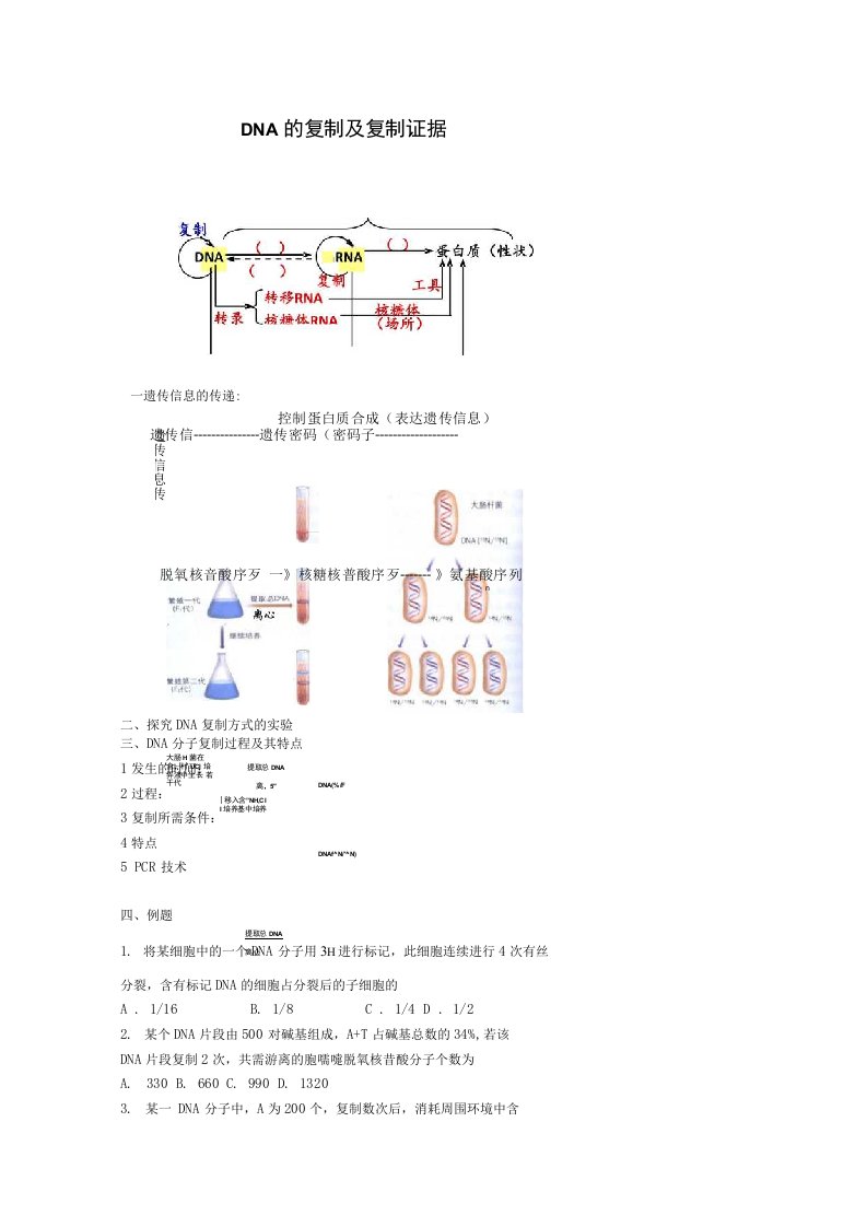 高考生物总复习例题讲解dna的复制及复制证据精品教学案