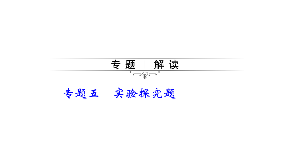 初中化学中考总复习PPT——实验探究题