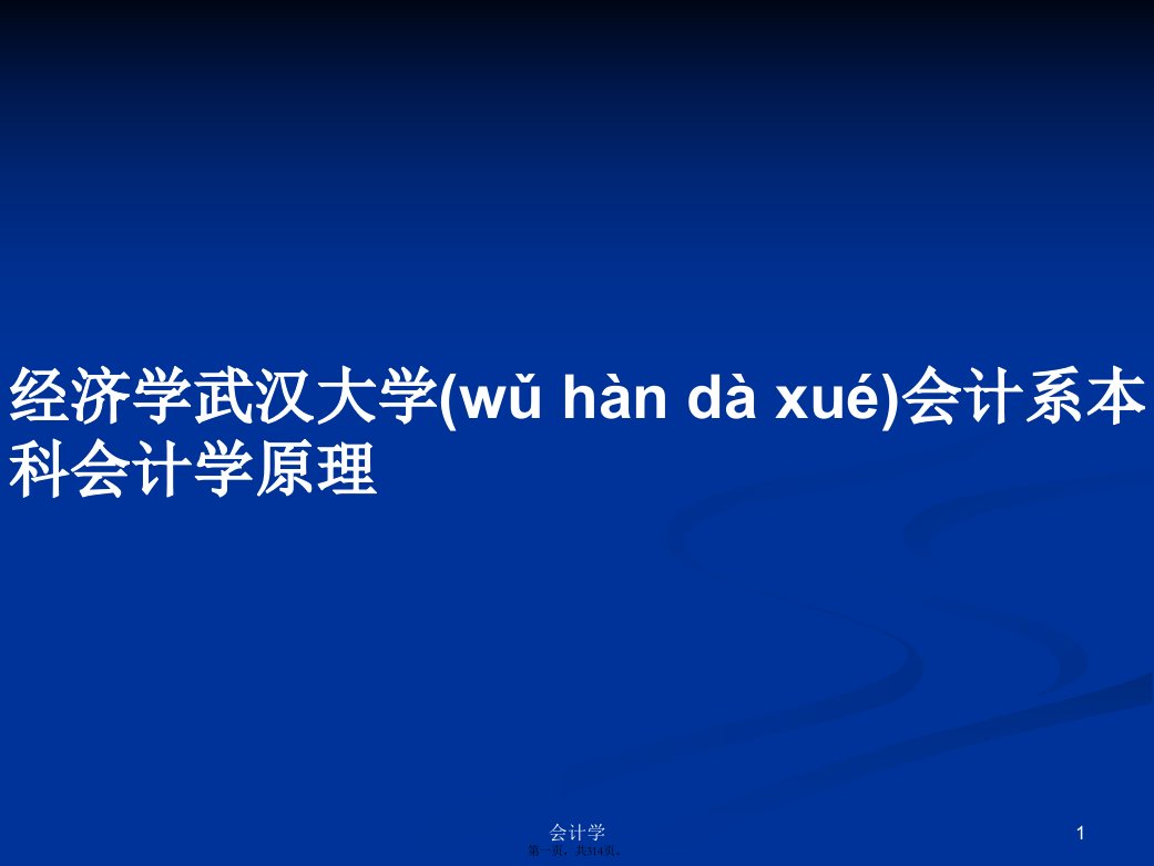 经济学武汉大学会计系本科会计学原理学习教案