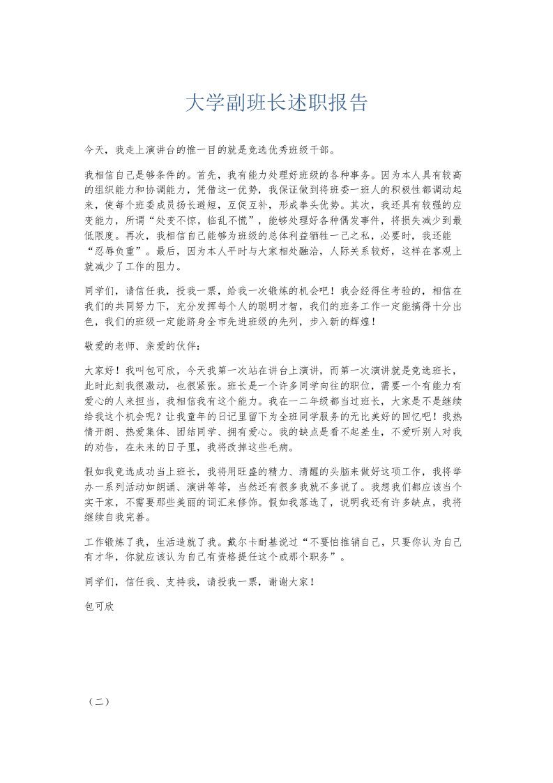 总结报告大学副班长述职报告