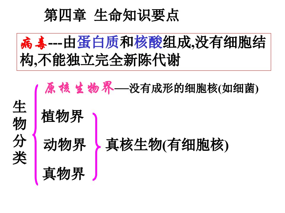 九年级科学生命科学复习