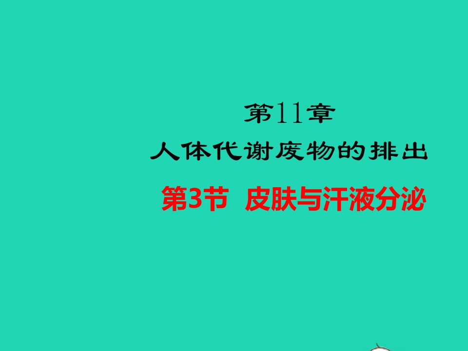 七年级生物下册第四单元生物圈中的人第11章人体代谢废物的排出第3节皮肤与汗液分泌教学课件新版北师大版