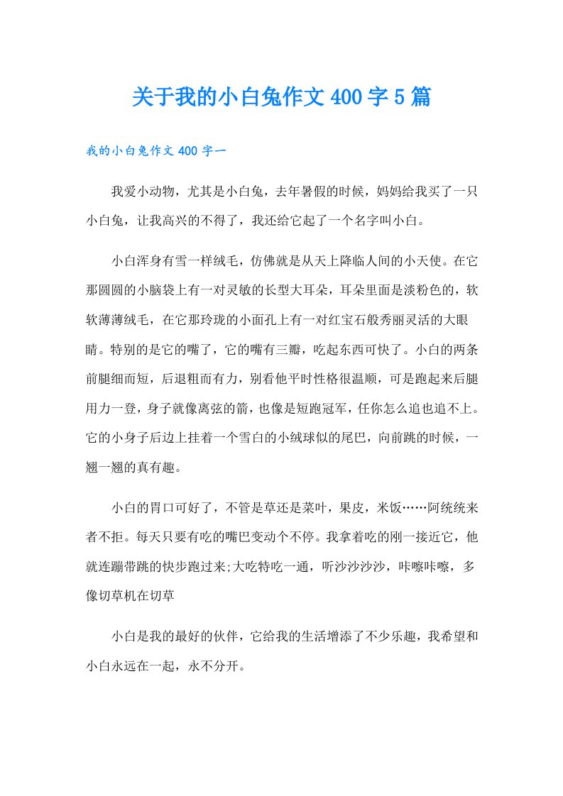 关于我的小白兔作文400字5篇