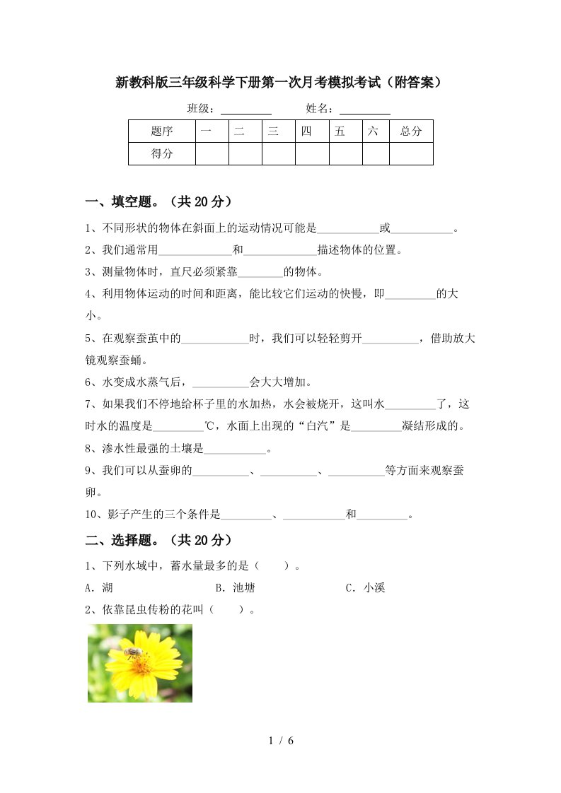 新教科版三年级科学下册第一次月考模拟考试附答案