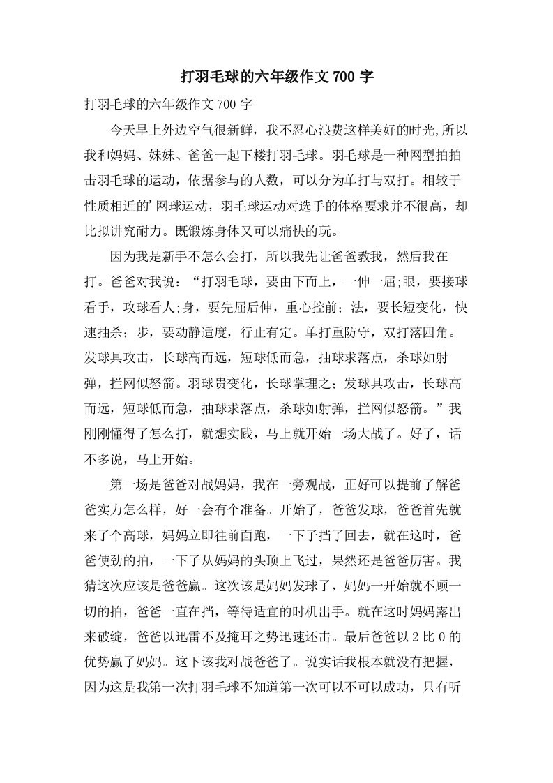 打羽毛球的六年级作文700字